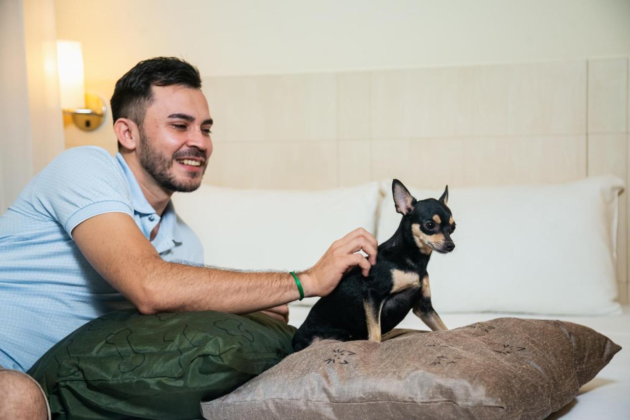 Ibis Styles Belem Batista Campos 호텔 외부 사진